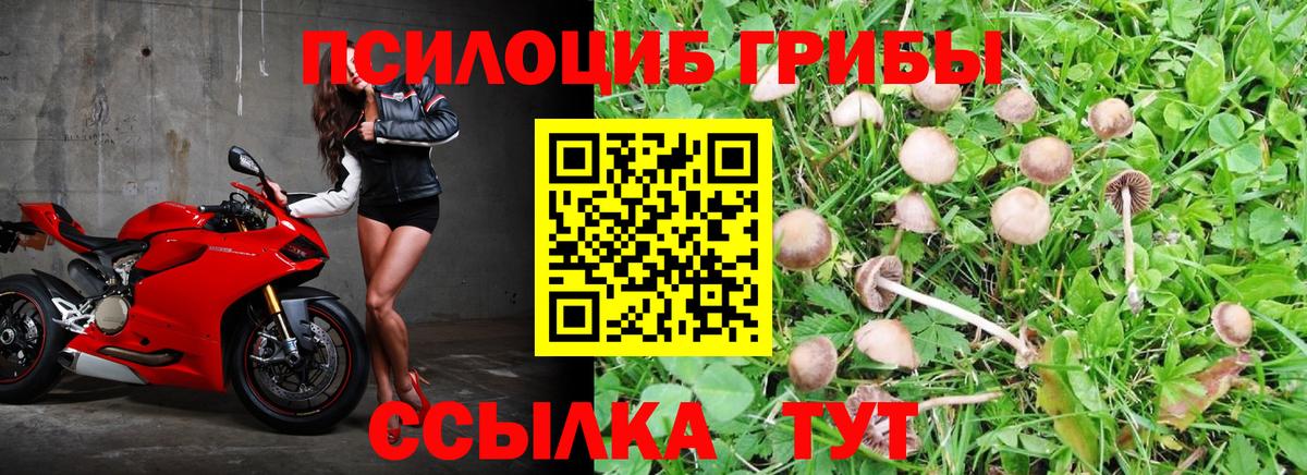 Ржев  Галлюциногенные грибы GOLDEN TEACHER  Вход с VPN 